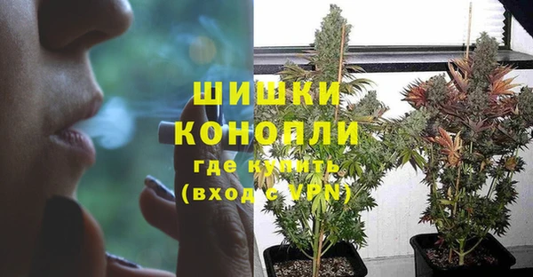 бошки Волоколамск